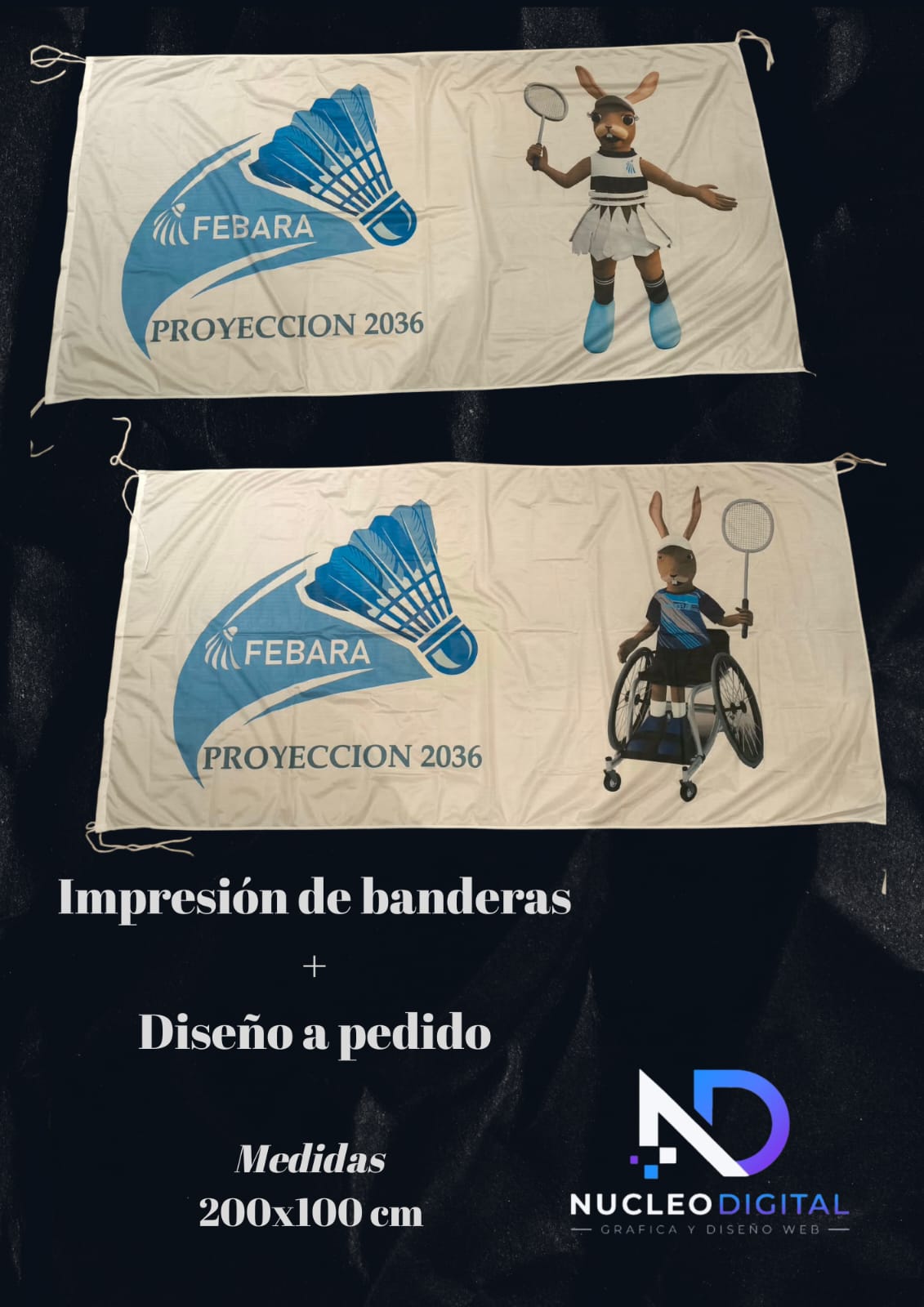 Dos banderas de 200x100 cm impresas para FEBARA con el logo y las mascotas de Proyección 2036.